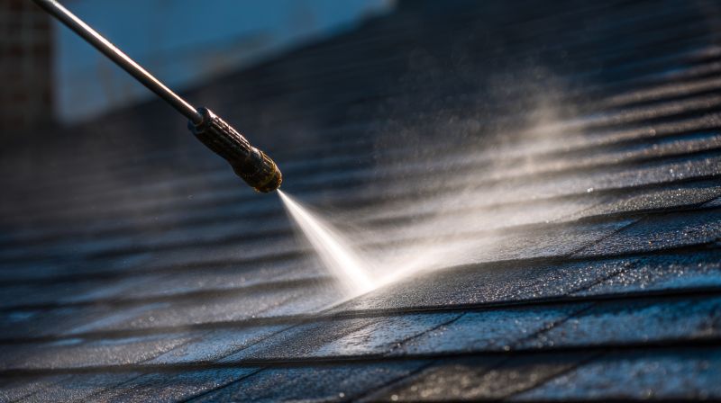 Asphalt Roof Cleaning