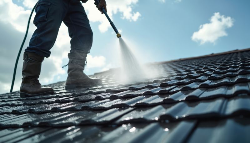 Asphalt Roof Cleaning