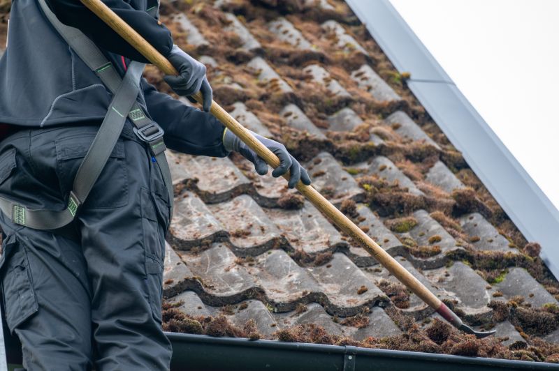 Commercial Roof Algae Cleaning