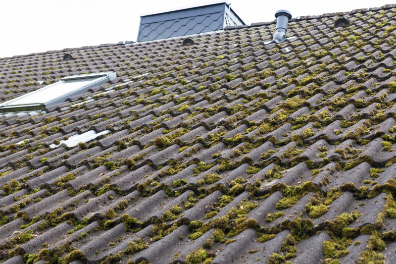 Commercial Roof Moss Removal