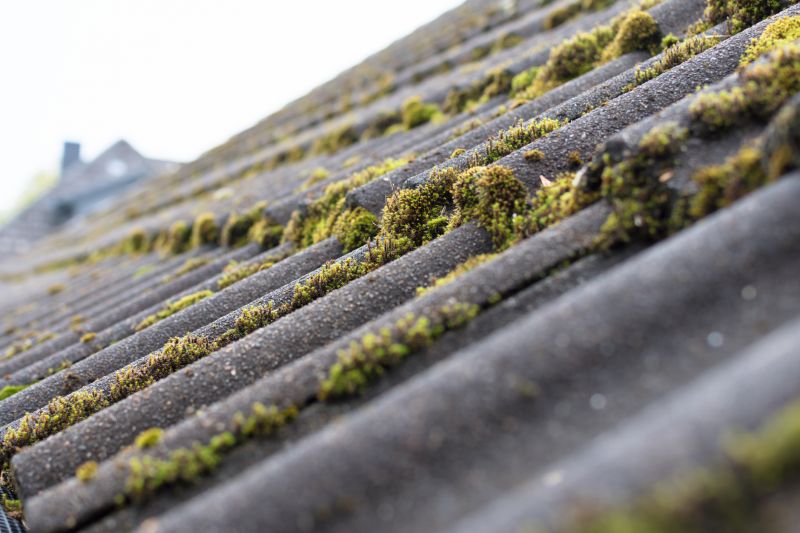 Commercial Roof Moss Removal