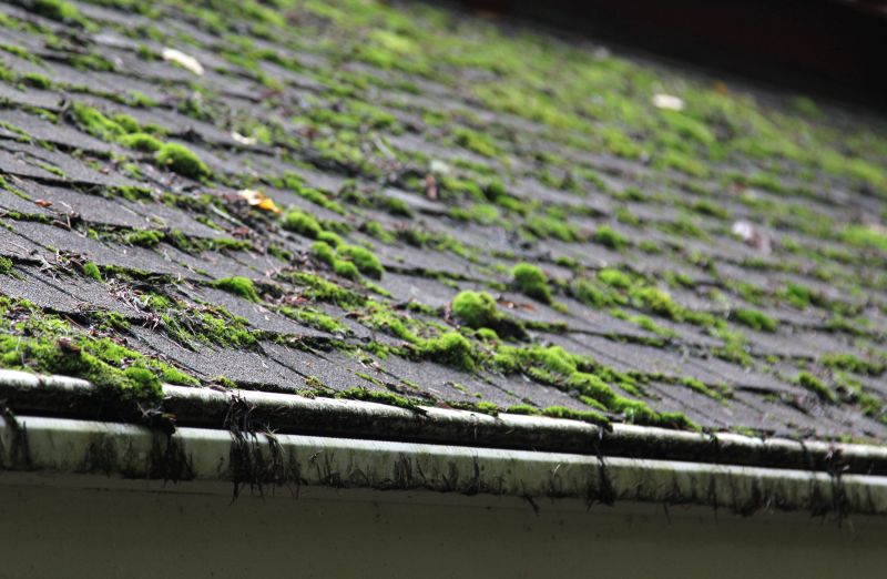 Commercial Roof Moss Removal