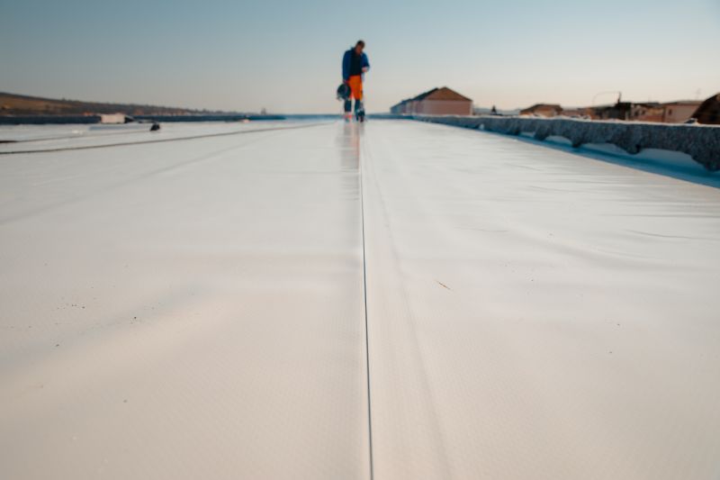 Flat Roof Cleaning