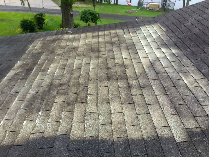 Asphalt Shingles Cleaning detail