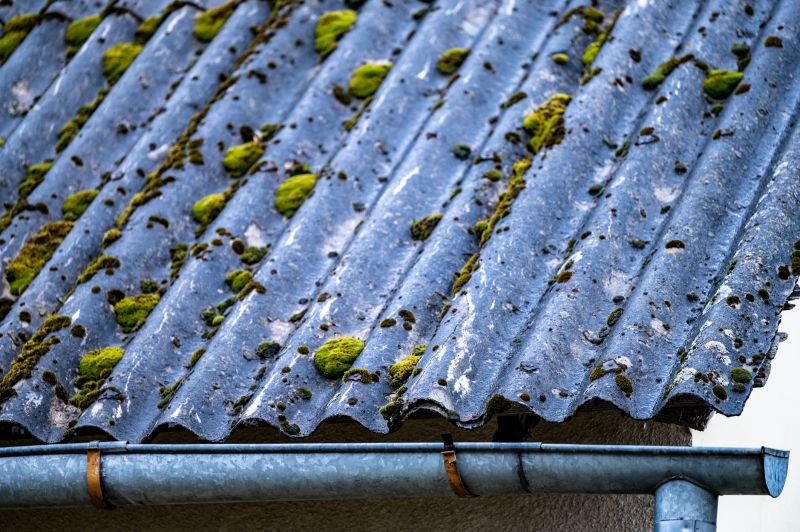 Roof Algae Removal detail