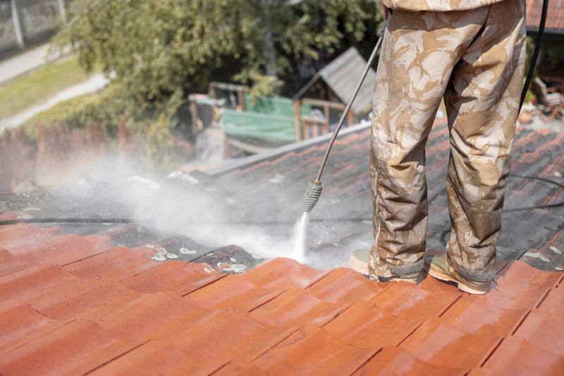 Roof Mildew Removal detail