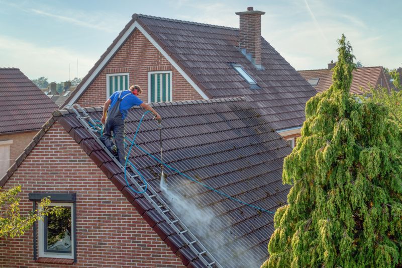 Tile Roof Cleaning detail