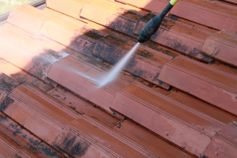 Tile Roof Cleaning detail