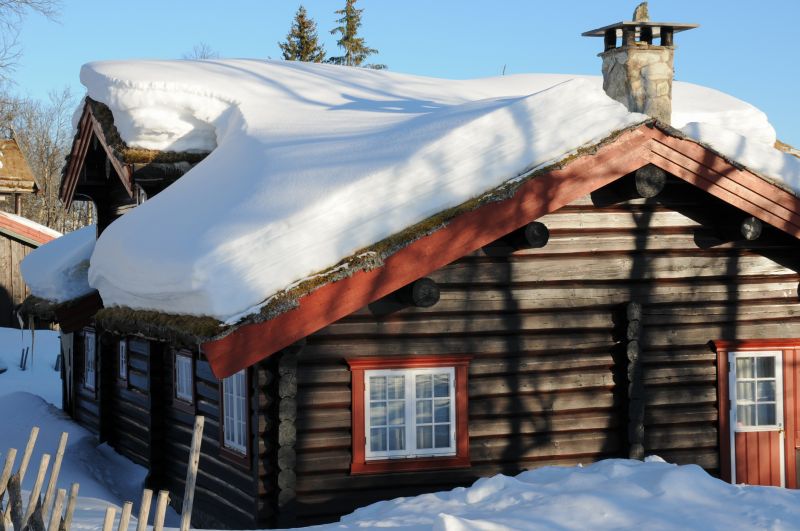 Log Cabin Roof Cleaning