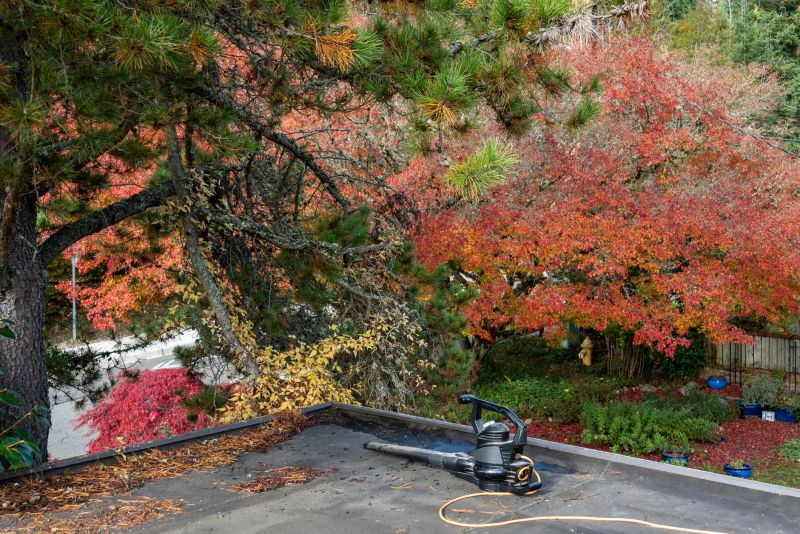Fall Roof Cleaning