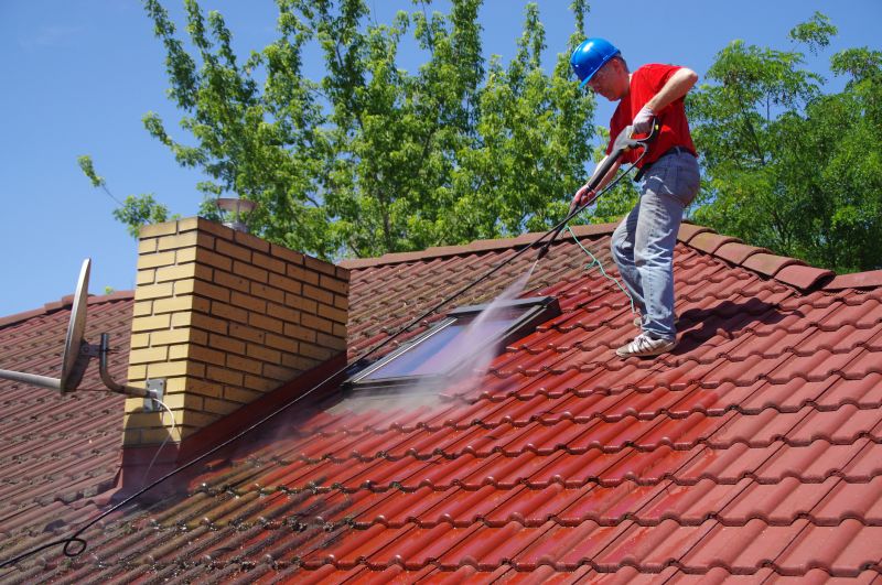 Townhouse Roof Cleaning