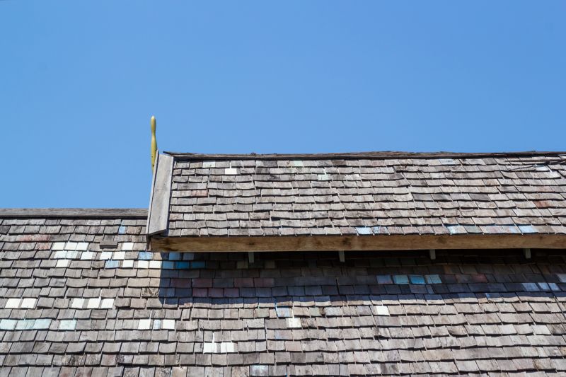 Wood Shake Roof Cleaning