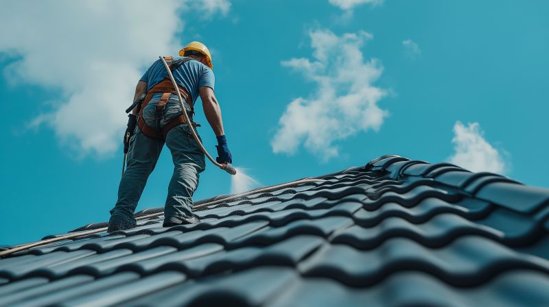 Roof Cleaning Service