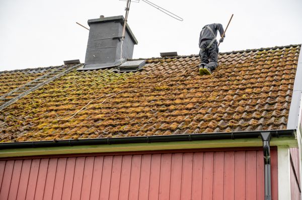 Roof Algae Cleaning Service